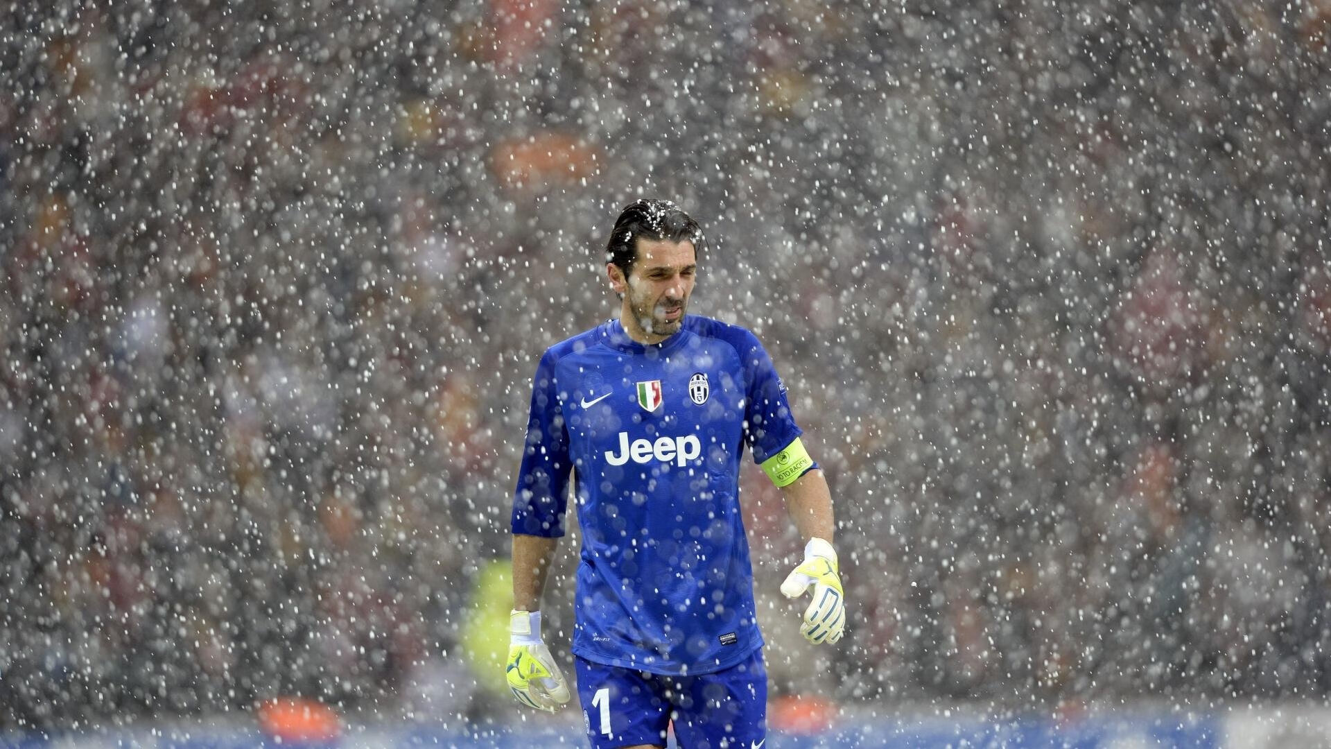 仰泳双线作战 德国稳步前行，双旭教仰泳第四课